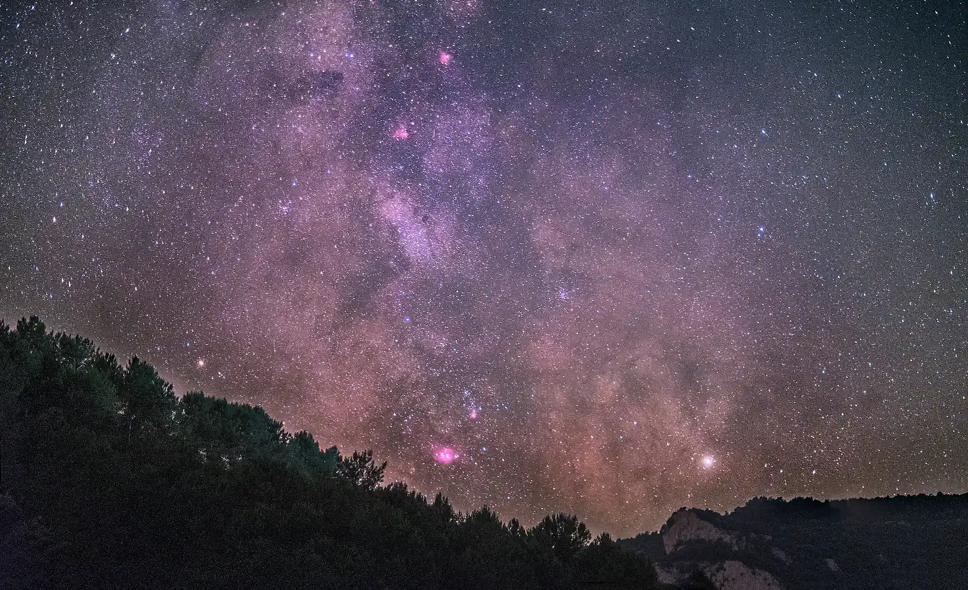 Un cielo lleno de estrellas con la silueta de un bosque