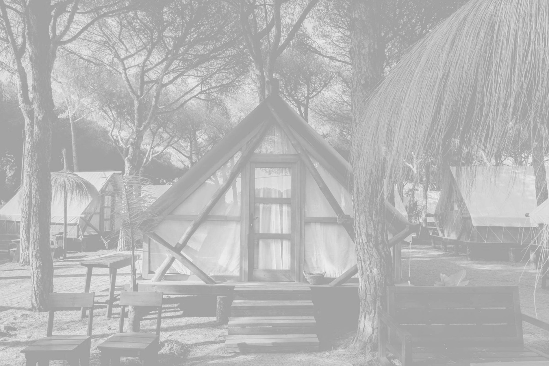 a black and white photo of a tent in the middle of a forest=s1900