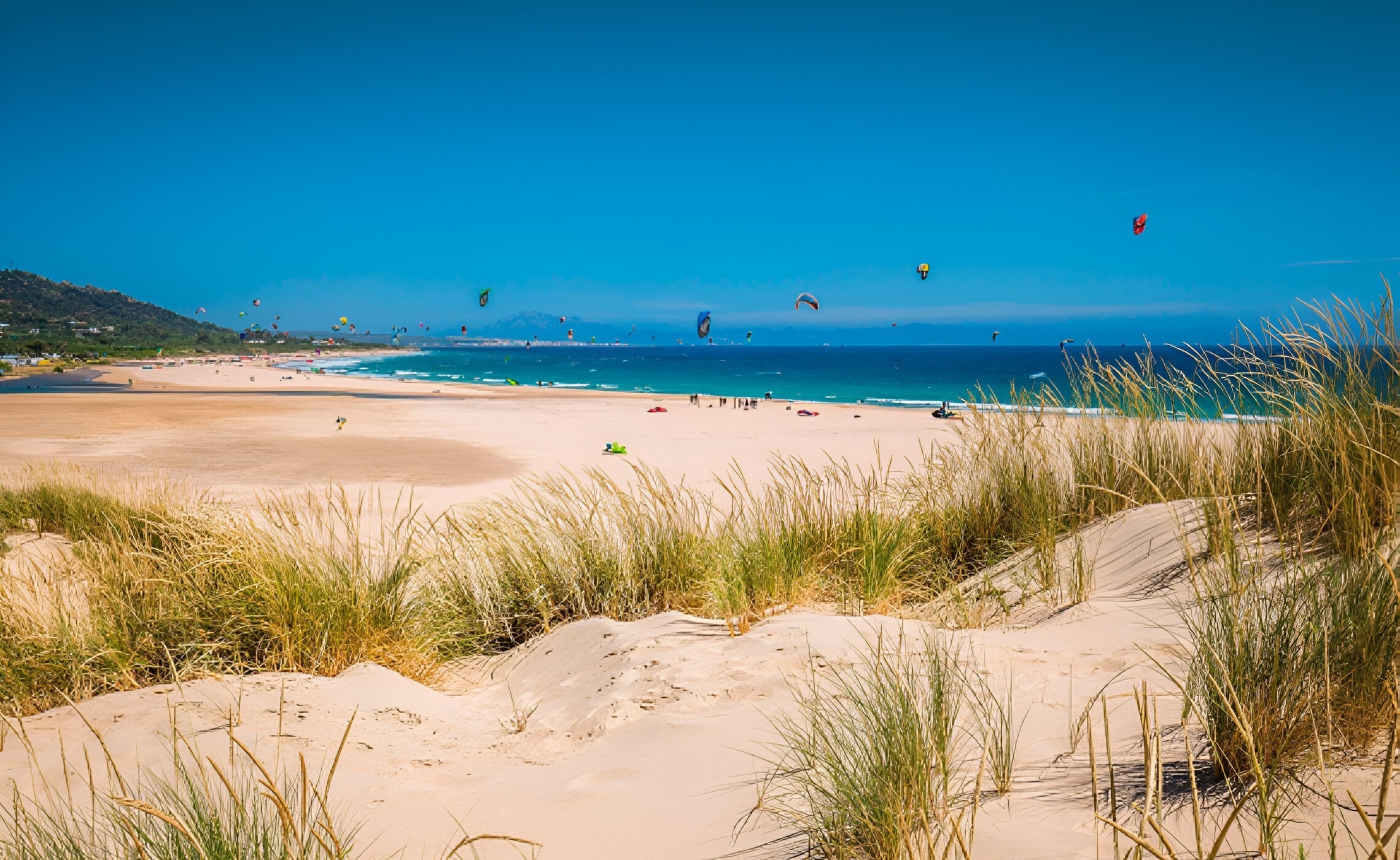 dunes de sable a l' orilla d' una platja