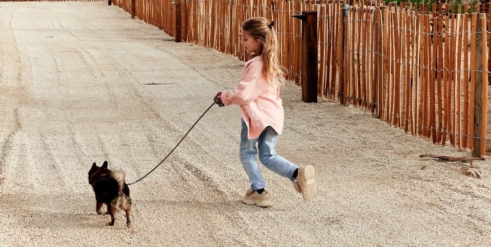 a little girl walking a small dog on a leash