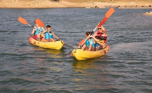 un héron tient un poisson dans sa bouche