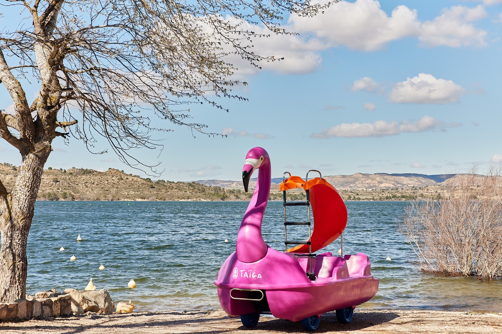 un bateau pédalo en forme de flamant rose est garé sur le bord d' un lac