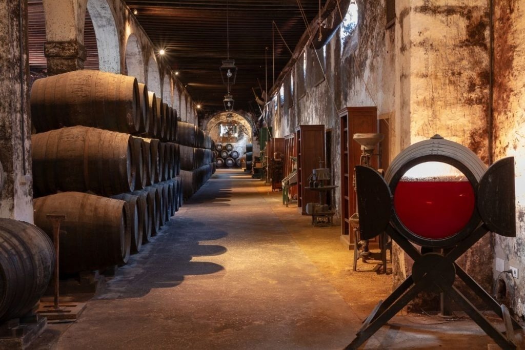un long couloir rempli de tonneaux de vin