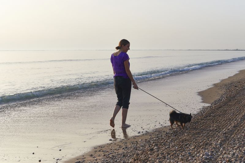 Dona passejant el seu gos per la platja a l'alba, una imatge perfecta per a la teva estada. Taiga: Corporativa