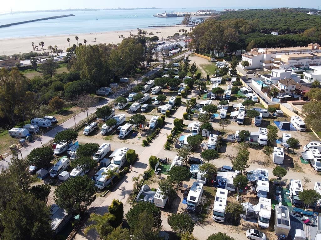 un groupe d' oiseaux debout dans l' eau au coucher du soleil