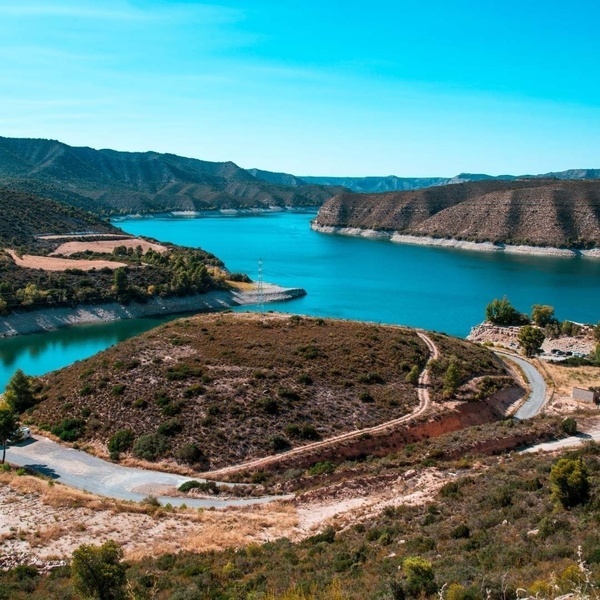 un héron tient un poisson dans sa bouche