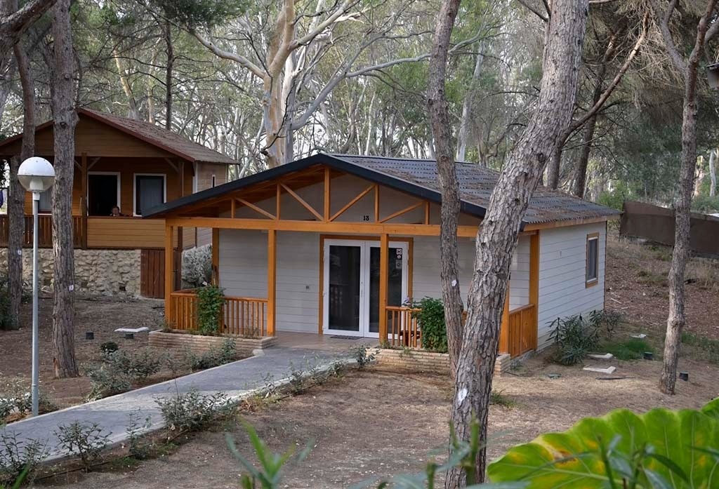 une maison en bois avec un porche est entourée d' arbres