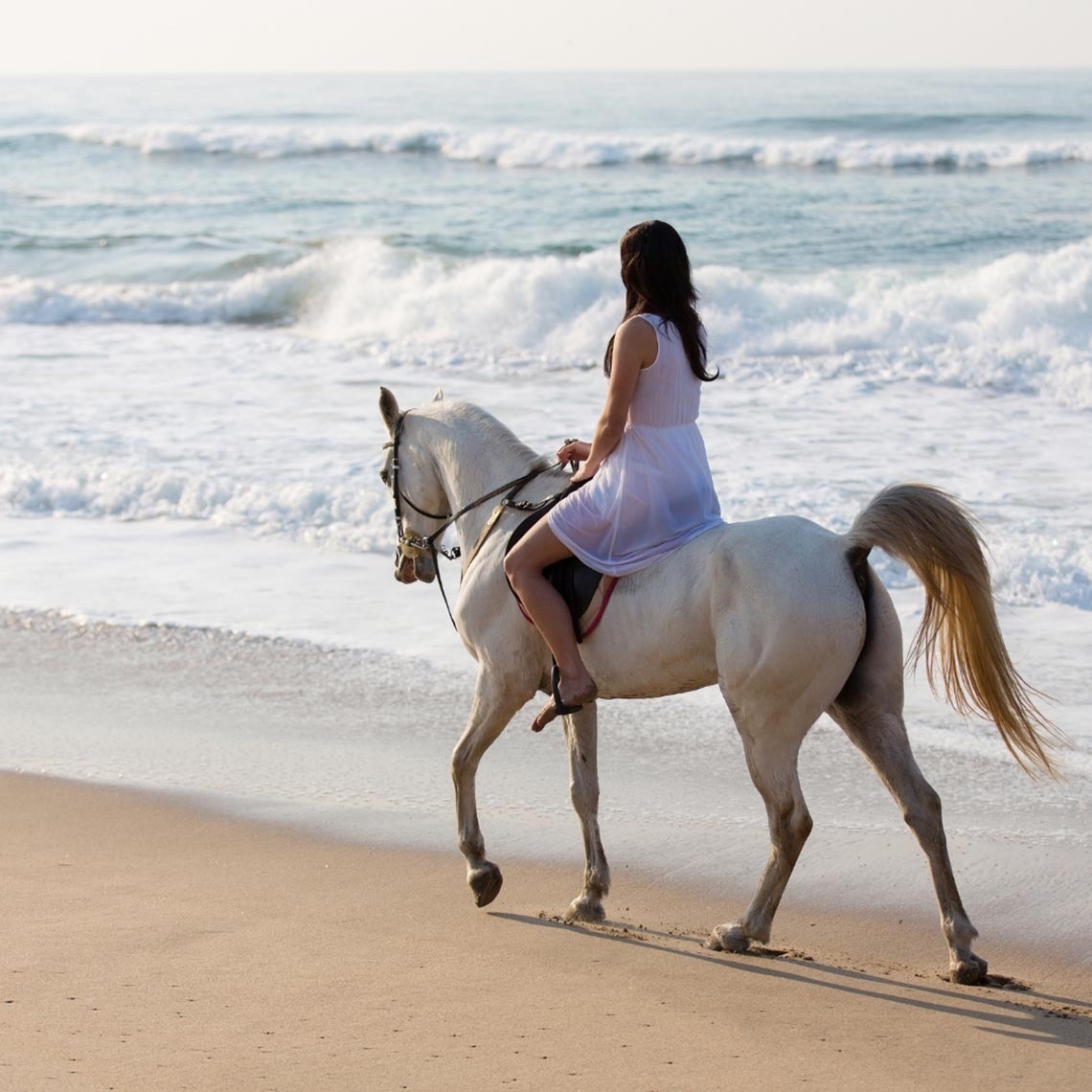 una mujer monta un caballo blanco en la playa