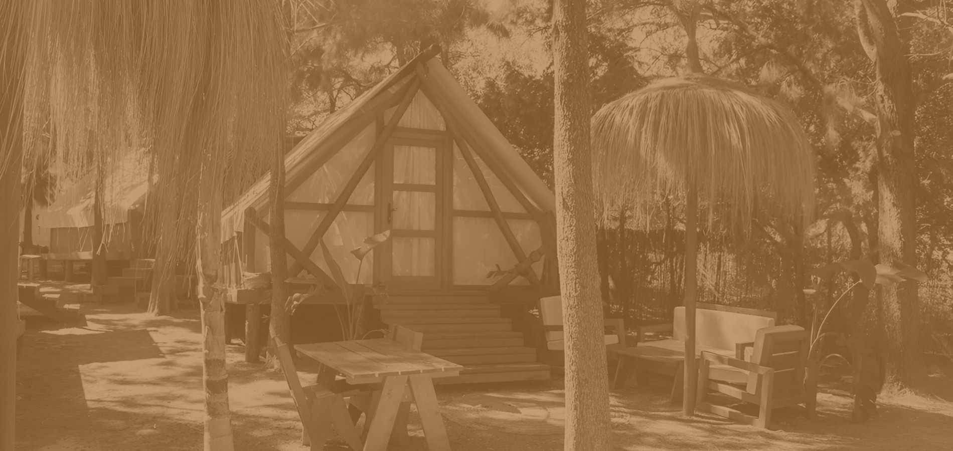 une photo en noir et blanc d' une cabane entourée d' arbres