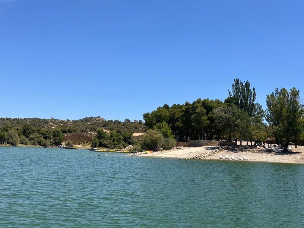 un campo lleno de amapolas rojas y flores blancas