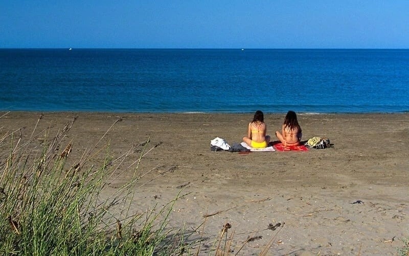 a flock of flamingos flying over a body of water