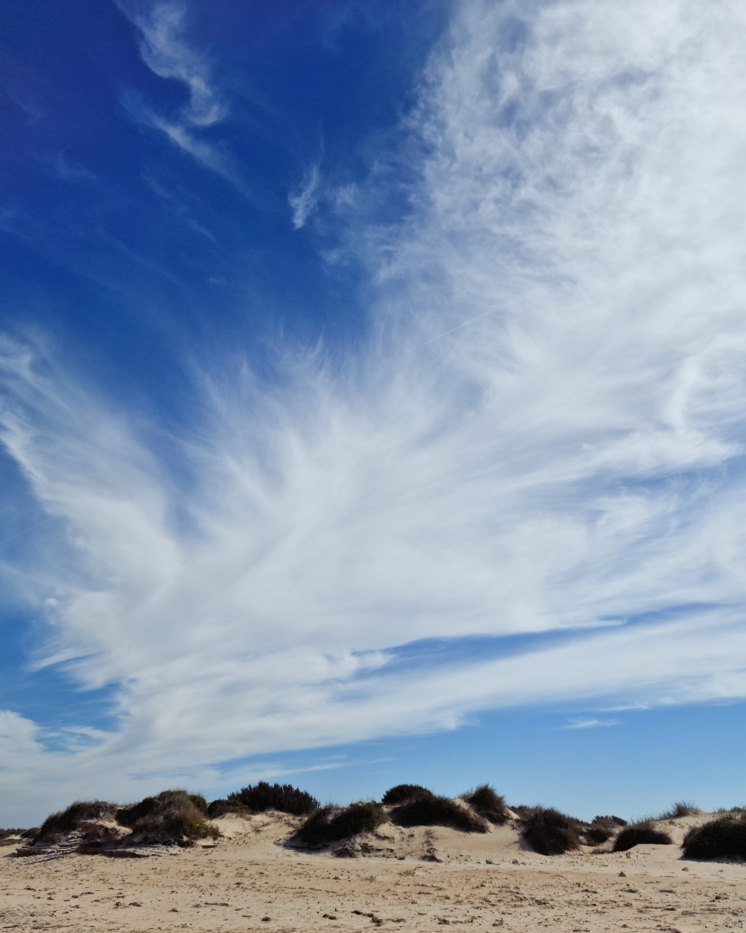 ein sandiger Strand mit einem blauen Himmel und weißen Wolken
