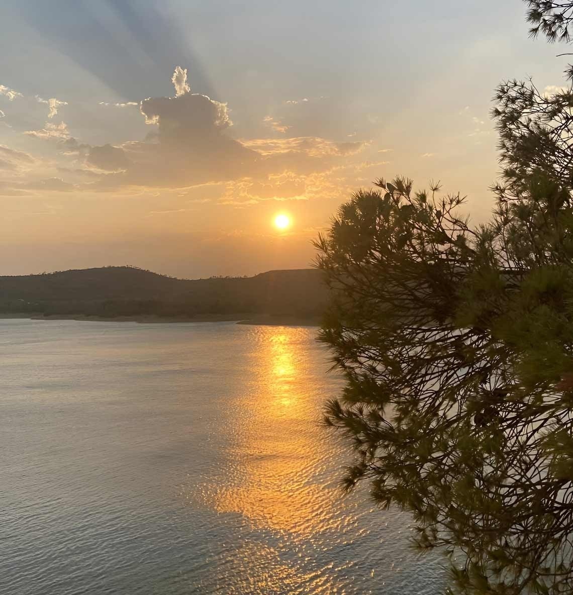 el sol s'acosta a l' aigua a través d' un arbre