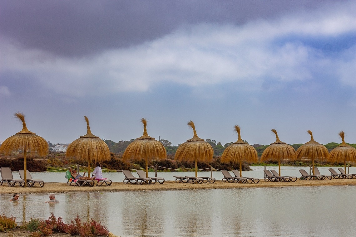 a row of straw umbrellas and chairs on a beach