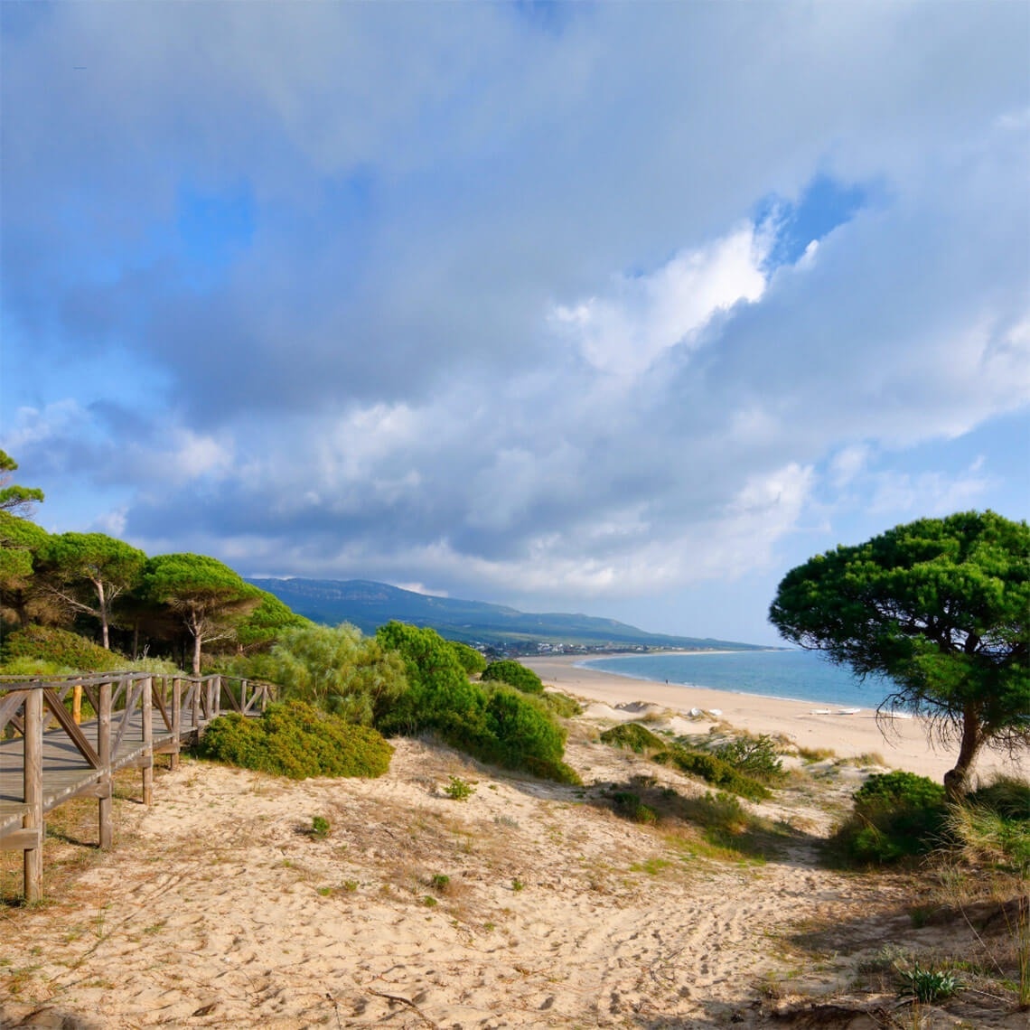 a wooden walkway leads to a sandy beach