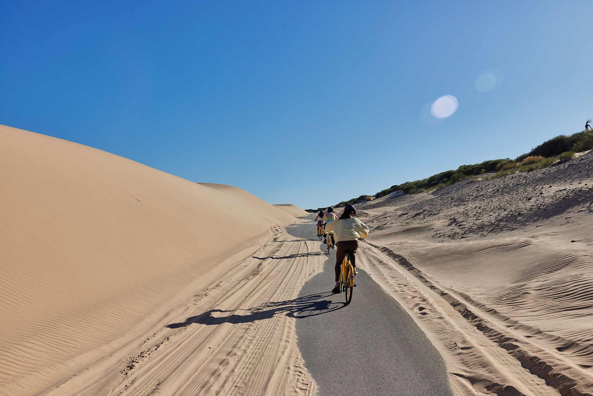 un grupo de personas en bicicleta por un camino de arena