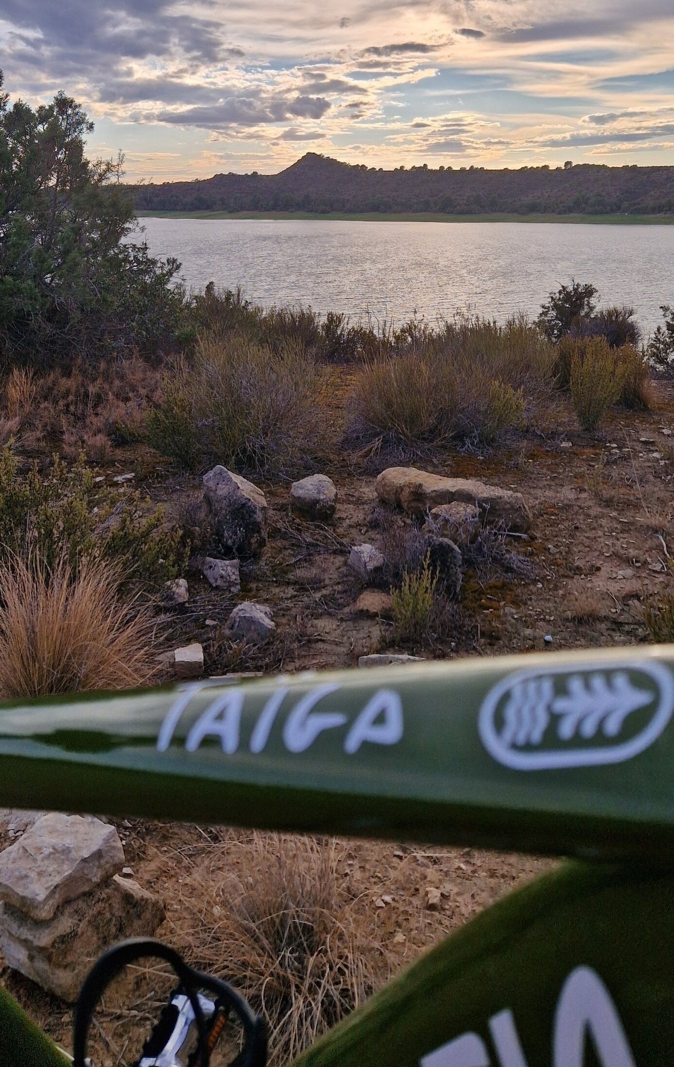 un vélo vert avec l' inscription taiga sur le tube