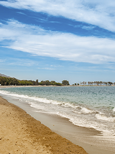 une plage avec un ciel bleu et des arbres en arrière-plan