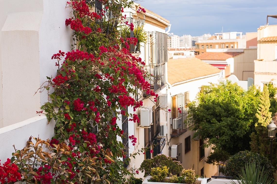 des fleurs rouges poussent sur un bâtiment blanc