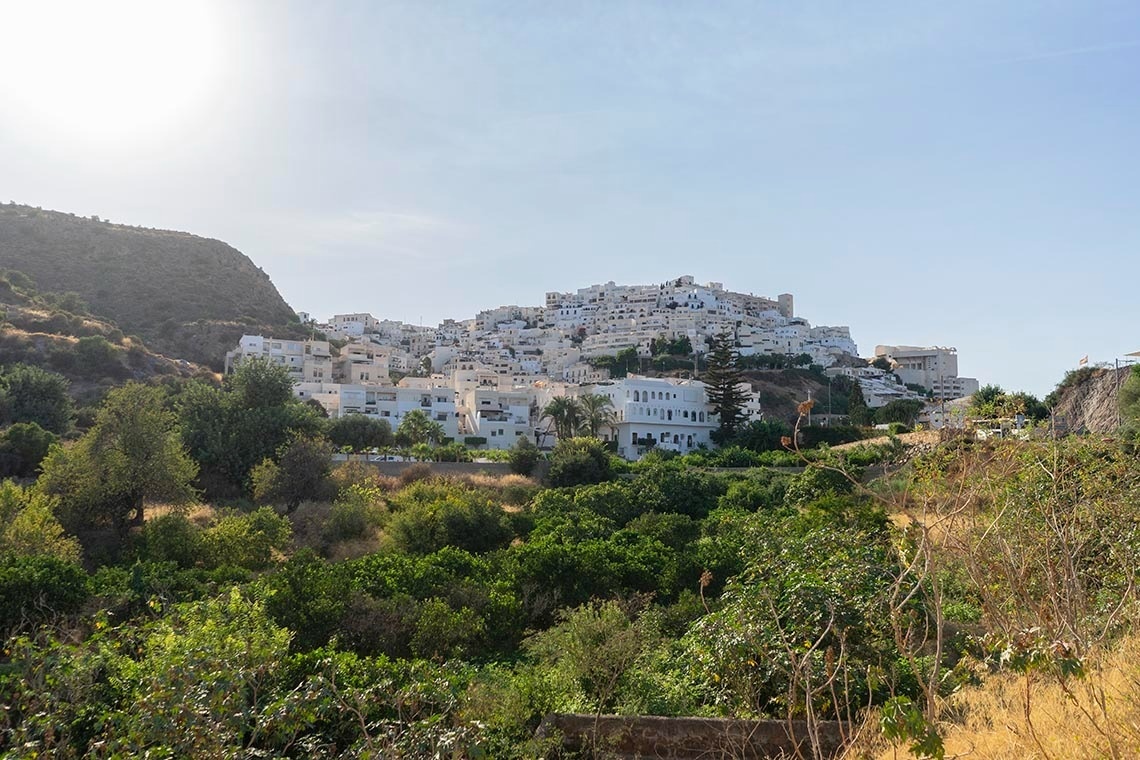 un groupe de maisons blanches sur une colline entourée d' arbres
