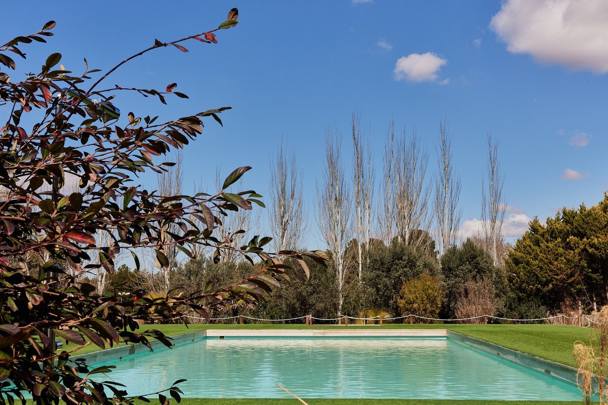 una piscina rodeada de árboles y arbustos en un día soleado