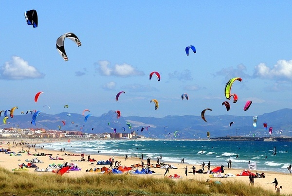 a bunch of people are flying kites on a beach