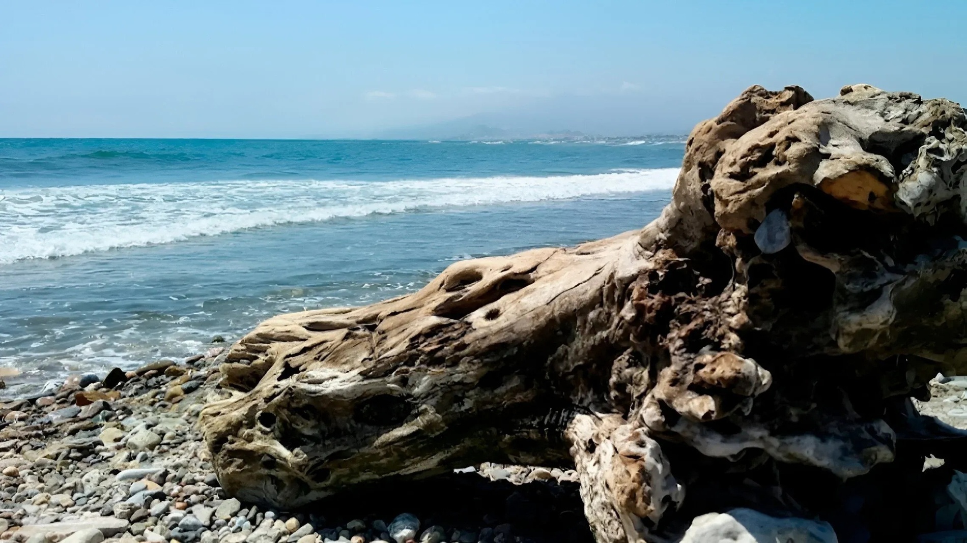 a large piece of driftwood sits on a rocky beach near the ocean