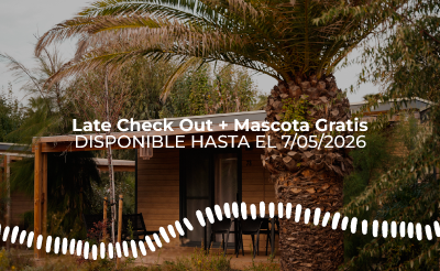 TAIGA | Campings & Resorts