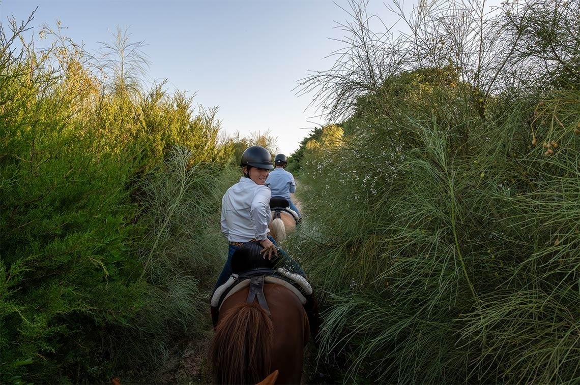 un grup de persones a cavall a través d' un bonic bosc
