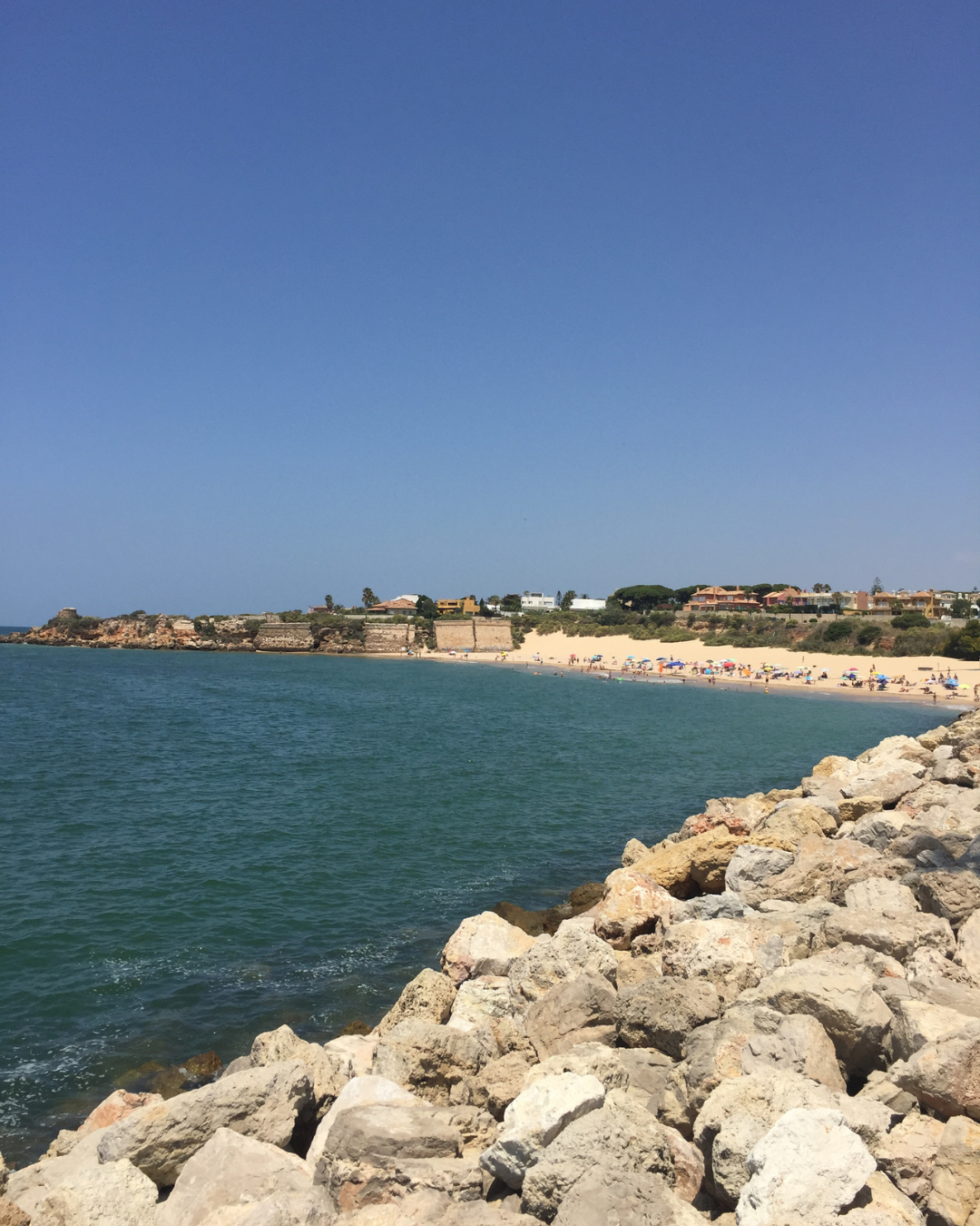 ein Strand mit vielen Sonnenschirmen an einem sonnigen Tag