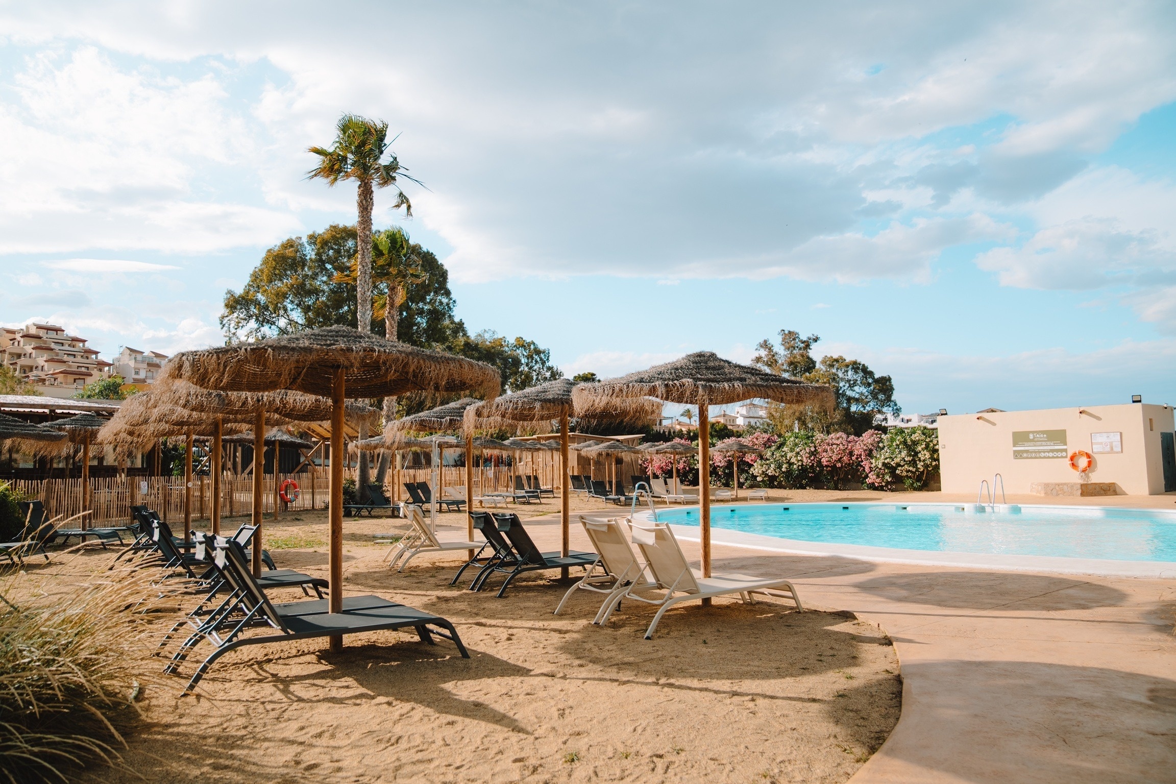 Taiga: Corporativa. Sillas y sombrillas en la playa junto a la piscina cristalina.