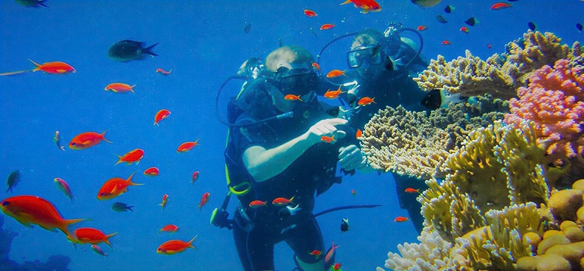 Dos buceadores están inmersos en el agua azul, rodeados de bancos de peces naranjas y corales vibrantes.