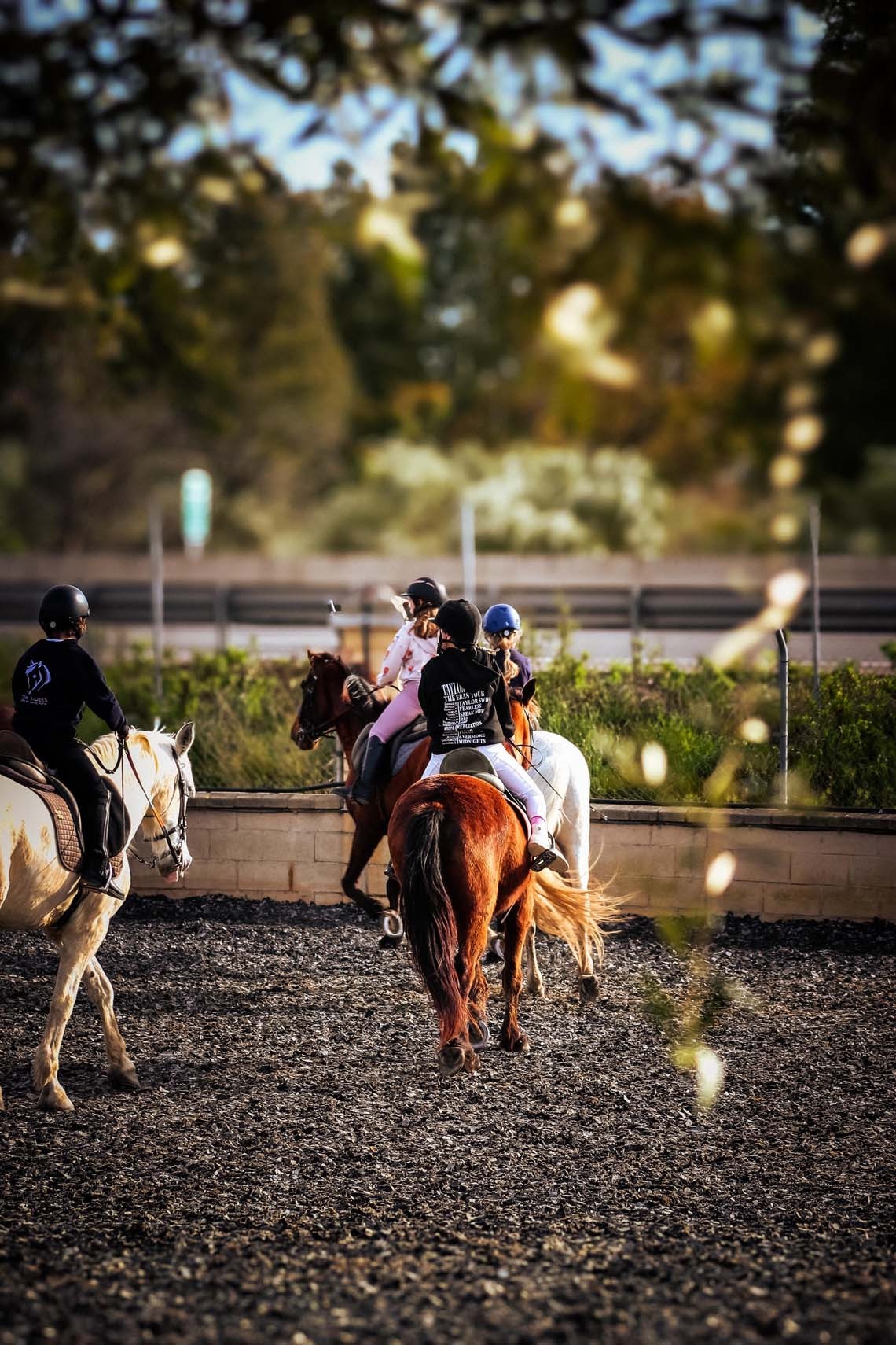 Niños aprendiendo a montar a caballo en una escuela de equitación Taiga: Corporativa
