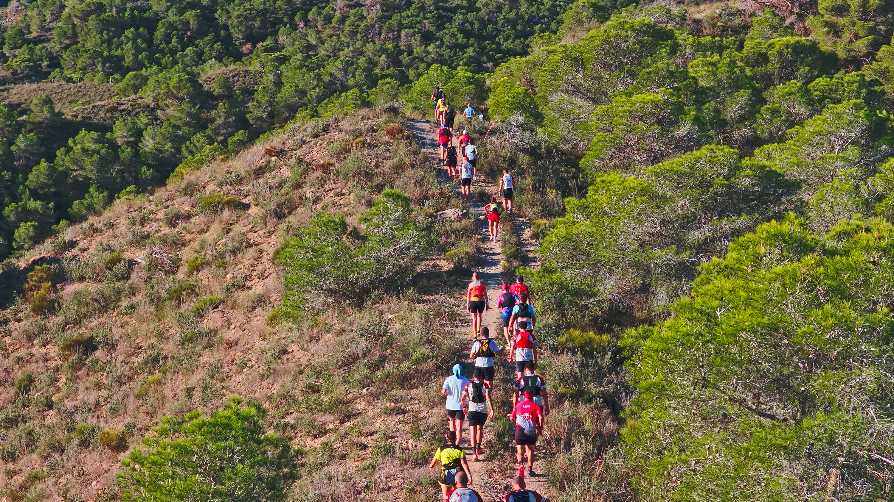 Trail runners on a mountain path surrounded by lush green trees. Taiga: Corporativa