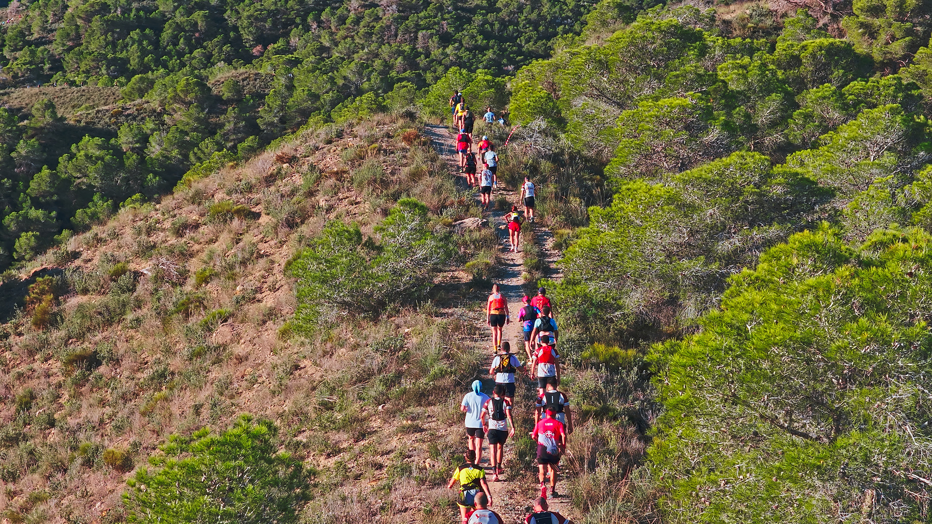 Group of hikers on a trail near a hotel Taiga: Corporativa.