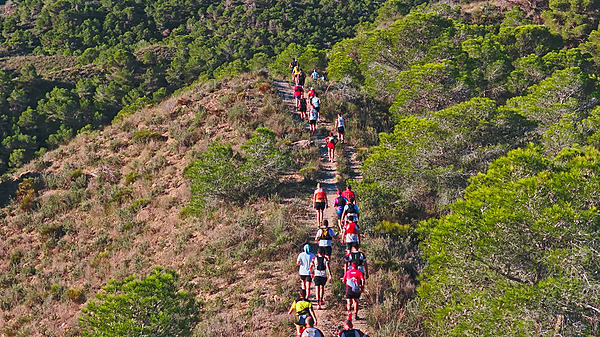 Corredores en un sendero de montaña con árboles, para una experiencia deTaiga: Corporativa.