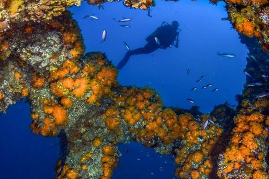 a scuba diver is swimming through a hole in a coral reef