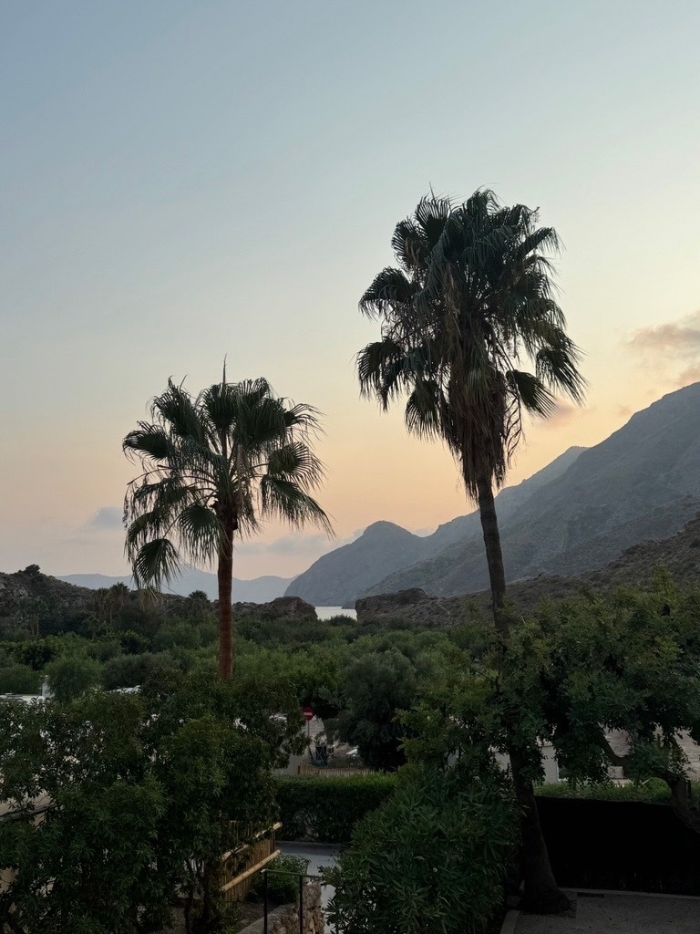 palm trees in front of mountains and a body of water