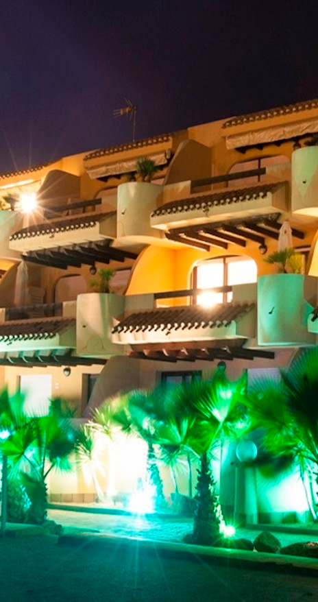 una piscina a l' ombra d' una palmera