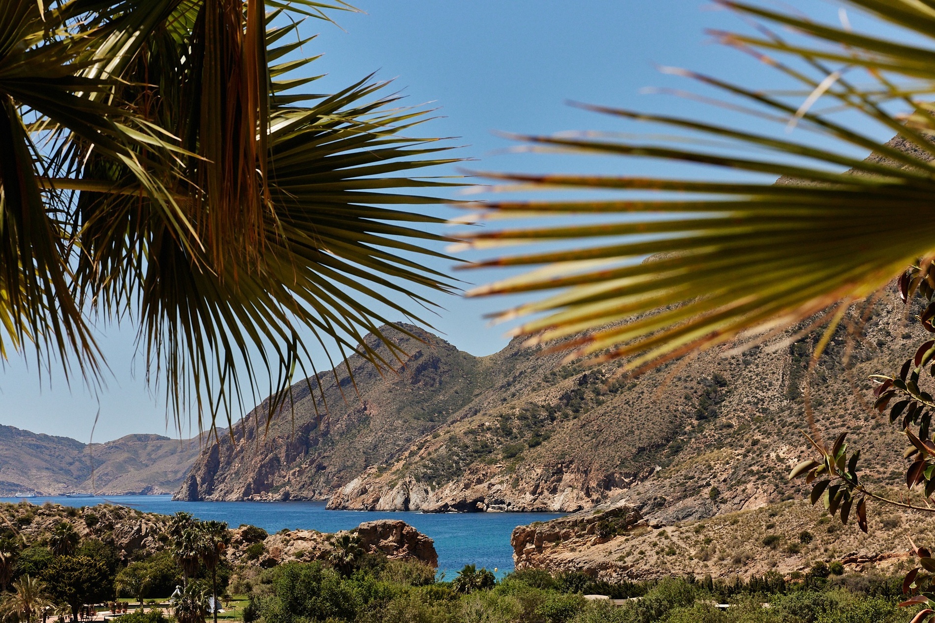 una vista del océano y las montañas a través de las hojas de una palmera
