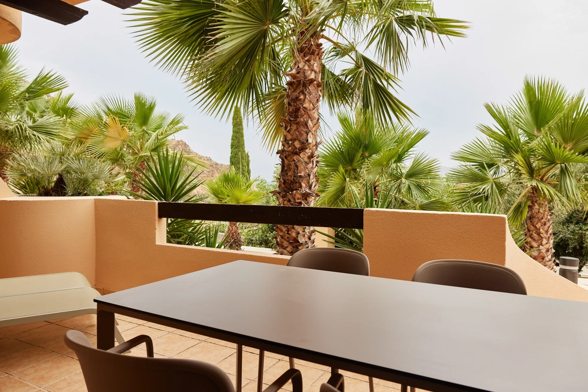 Terraza con mesa, sillas y palmeras, Taiga: Costa Cálida