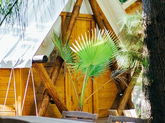 TAIGA | Campings & Resorts