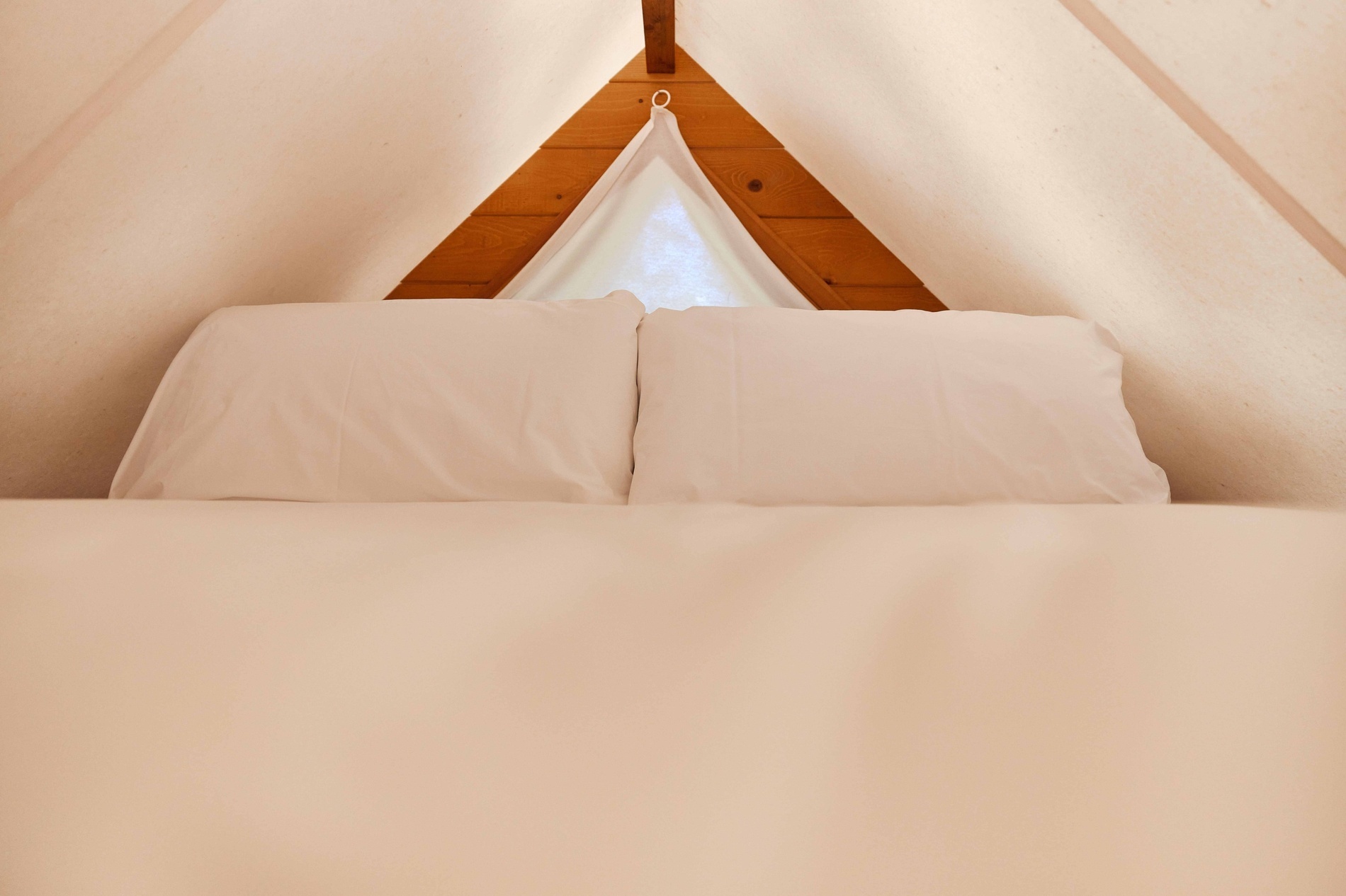 TAIGA | Campings & Resorts