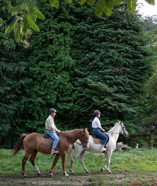 um homem e uma mulher andam a cavalo em um campo
