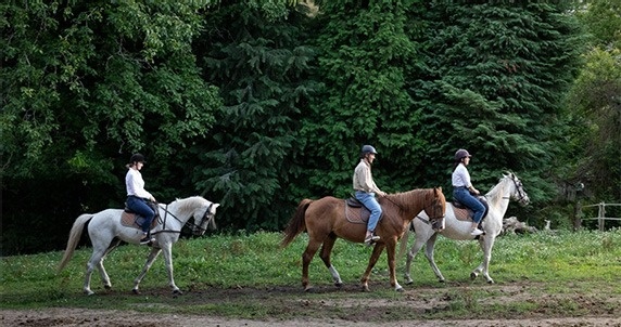 um grupo de pessoas está andando a cavalo em um campo .