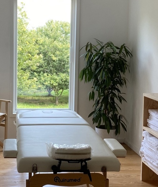 uma mesa de massagem quirumed com uma planta ao lado