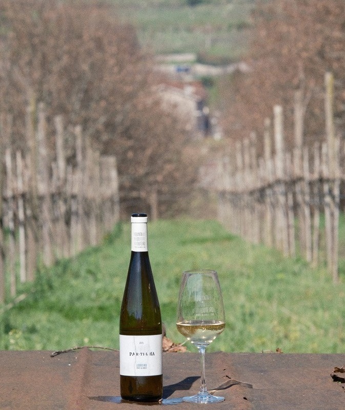 uma garrafa de vinho e uma taça de vinho com a etiqueta pan tiara