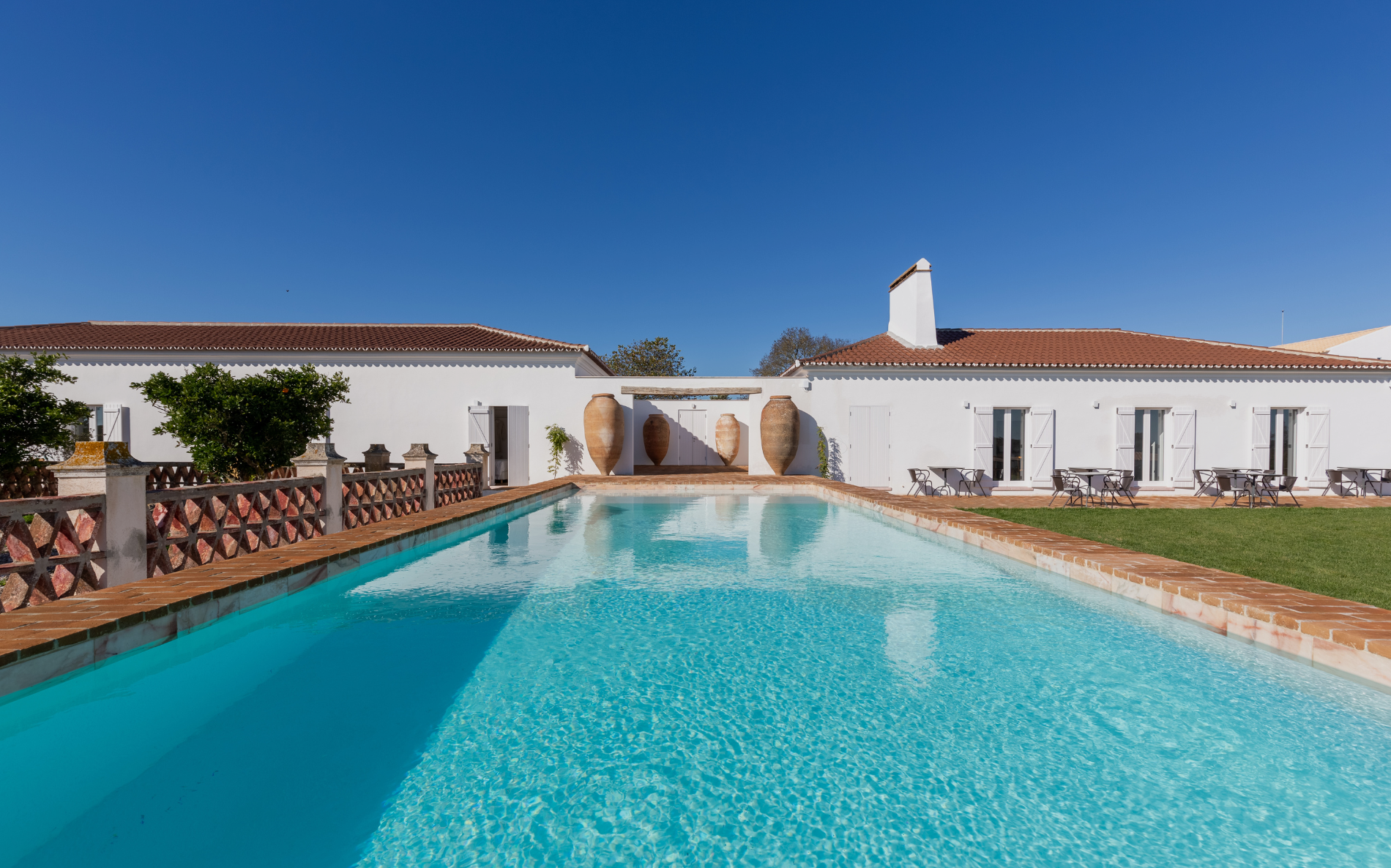 Cenoura-Brava in Evora