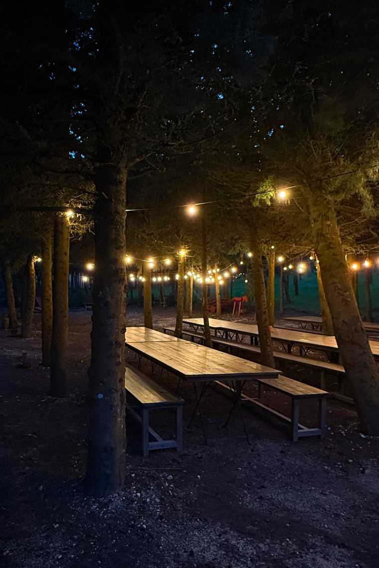 a row of wooden picnic tables in a dark forest