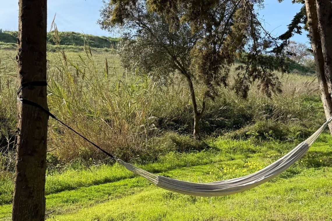 a hammock is hanging between two trees in a field